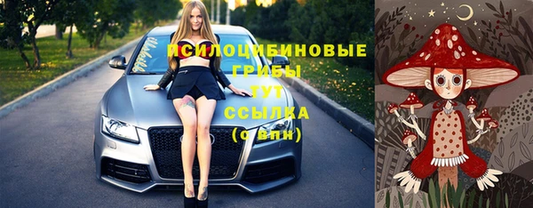 экстази Переславль-Залесский