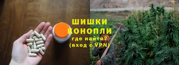 mix Пересвет