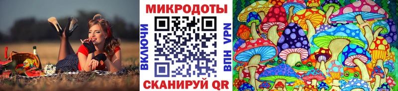 Псилоцибиновые грибы GOLDEN TEACHER  Североморск 