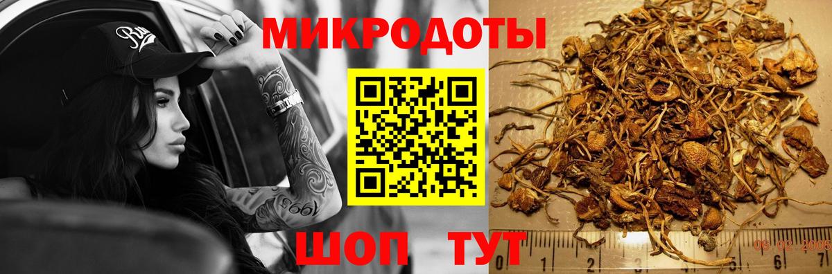 Североморск  Псилоцибиновые грибы мухоморы  Вход с VPN 